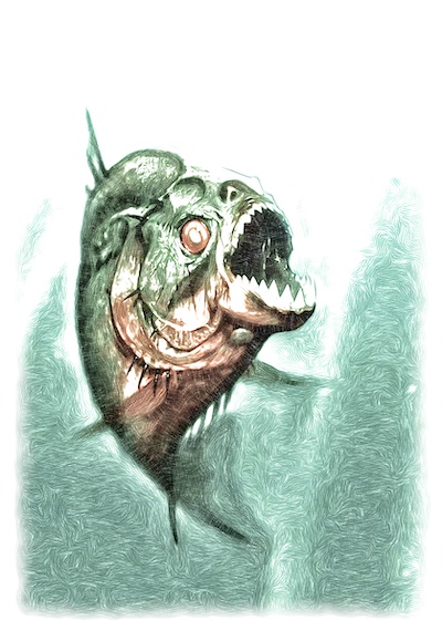 Piranha
