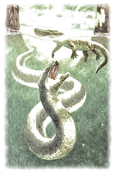Titanoboa